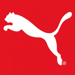Puma creative example